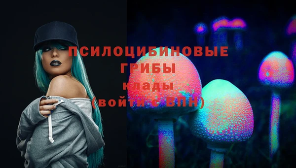 ALPHA PVP Алзамай