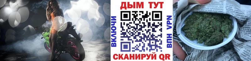 Шишки марихуана Amnesia  Обоянь 